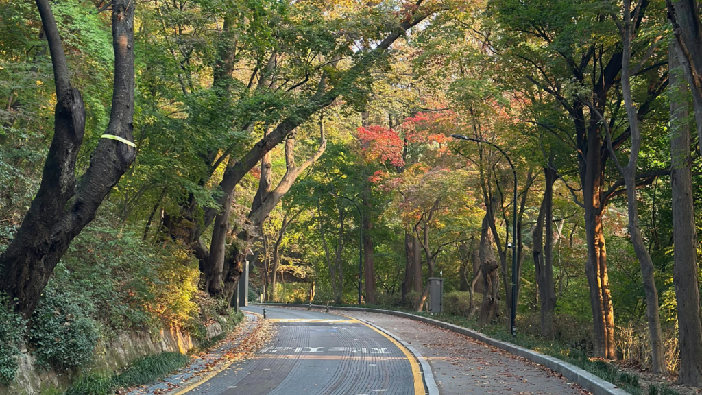 How Roadway Conditions in Leander Can Contribute to Serious Accidents